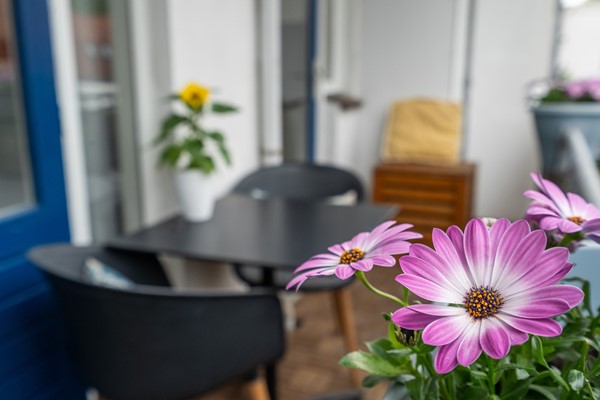 Medium property photo - Marnixlaan 37, 3552 HB Utrecht